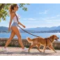 D2 Adjustable Leather Dog Leash Brown VlaMiTex